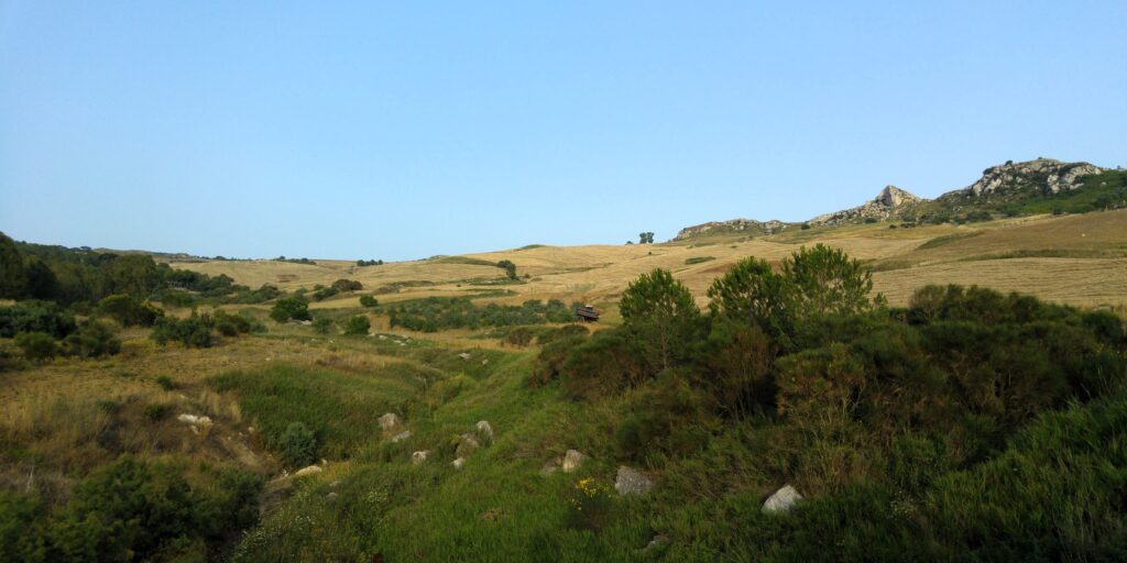 Colline di Pietraperzia